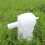 Plastic Pigeon Waterer with Handle for Multiple Doves 3