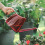 Regadera de jardin avec rociador, 1.2L 3