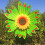 Sonnenblumen-Windmühle, Solar-Spinner, Gartendekoration, 1 Stück 8
