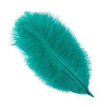 Strutsin höyhenet Luonnonväriset 30-35cm 12 kpl