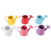 Ensemble de 6 mini-arrosoirs pour le jardinage