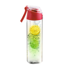 Gourde infuseur à fruits 800 ml pour sports de plein air