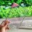 Bouteille d'eau transparente avec bloc-notes portable 1