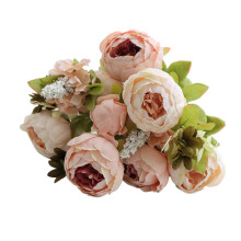 Croílár bláthanna insamhalta peony clúdaithe 13pcs