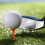 Plastic golftees 83 mm onbreekbaar 50 stuks 5