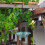 Outdoor Balcony Hanging Bird Feeder Adjustable Height 5