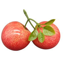Realistic Artificial Apples Model Foam Materials-1PCS