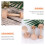 Eggeterteform i bøketre, mini-ostekakeform med avtakbar form 6
