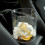 YLOMAY Portable Kitchen Trash Can 12L 5