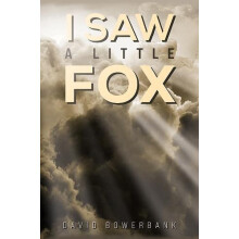 I Saw a Little Fox by David Bowerbank Hardcover Book