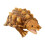 Snapping Turtle Plush Toy 23.6 inches 1
