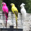 Parrot statue resin wall decor tropical bird figurine 3