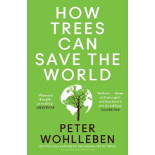 HOW TREES CAN SAVE WORLD PB by Peter Wohlleben Paperback Book
