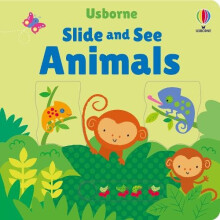 Slide and See Animals by Fiona Watt Paperback Book