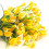 Τεχνητά Λουλούδια Calla Lily Λευκά20 Δέσμες500 Κεφαλές UV 3