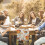 Chemin de table Thanksgiving style ferme automnale (1 paquet) 4