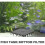 Aquarium bodemfilterplaat 15x15 cm 5