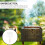 Portable Gas Grill BBQ Organizer with Accessories 4