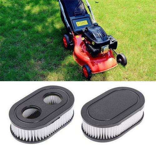 Briggs & Stratton luchtfilterpatroon (2 stuks)