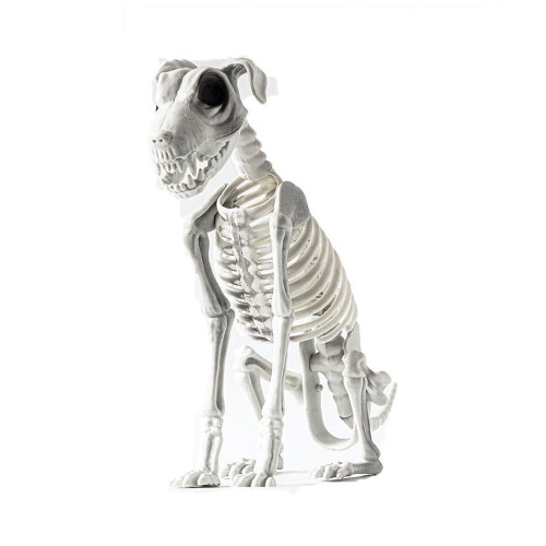 Skeletthund Halloweendekoration Skräcktema