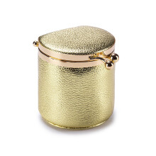Eleganter Schmuck-Aufbewahrungskoffer,-Gold