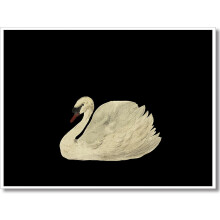Tableau ancien en toile représentant un cygne, 40 x 30 cm, sans cadre
