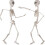 Poserande skelett Halloweendekor 96 cm 2-pack 1