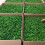 Moss Wall Decor Bulk Preserved Art 1