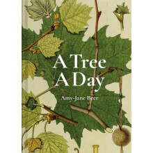 A Tree A Day by AmyJane Beer Hardcover Book