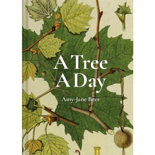 A Tree A Day by AmyJane Beer Hardcover Book