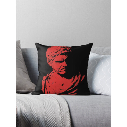 Capa para almofada decorativa AIVO Caracalla