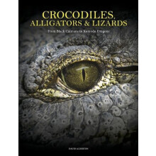Crocodiles Alligators Lizards by David Alderton Hardcover Book