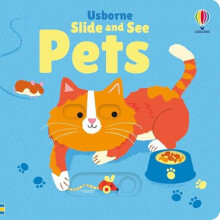 Slide and See Pets by Fiona Watt Paperback Book