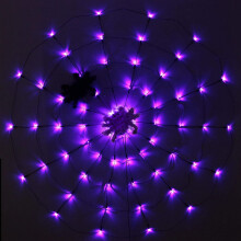 Paarse spinnenweb-lichtdecoratie voor Halloween buiten.