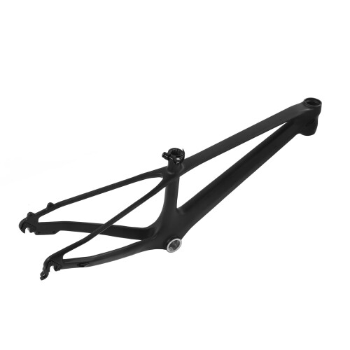 20" Ultra Light Carbon Fibre MTB Frame