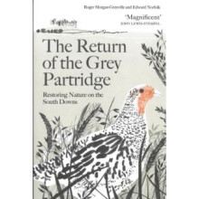 The Return of the Grey Partridge Restoring Nature on the South Downs b
