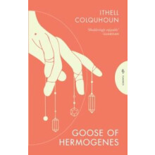 Goose of Hermogenes by Ithell Colquhoun Paperback Book