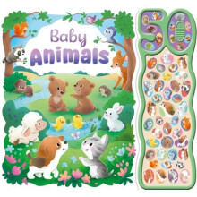 Baby Animals by Igloo Books Ltd Other Book