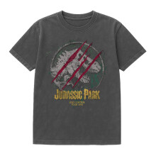 (M, Black) Jurassic Park Unisex Adult Lost Control T-Rex Vintage Wash T-Shirt