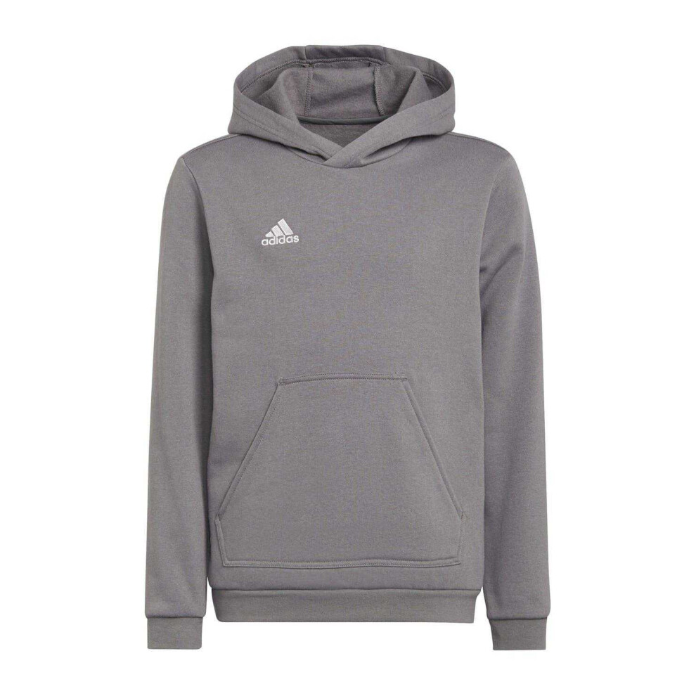 Adidas (7-8 Years, ) Childrens/Kids Entrada 22 Hoodie Grey