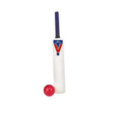 Slazenger Kashmir Willow Cricket Bat Set