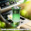 Auto-Geruch-Parfüm-Diffusor,-Oriental Secret Real 7