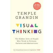 Visual Thinking The Hidden Gifts of People Who Think in Pictures Patte
