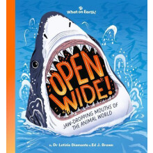 Open Wide by Letizia Diamante Hardcover Book