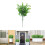 Foglie artificiali realistiche per uso interno ed esterno (3 pezzi) 2