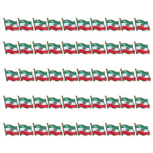 Anstecknadel mit Iran-Flagge aus robuster Eisenlegierung mit-50