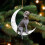 Pendentif lune chien de Noël noir 2
