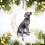 Pendentif lune chien de Noël noir 5
