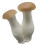 Realistic Texture Artificial Mushroom Model For Seasonal And 1