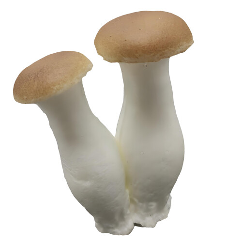 Realistic Texture Artificial Mushroom Model For Seasonal And